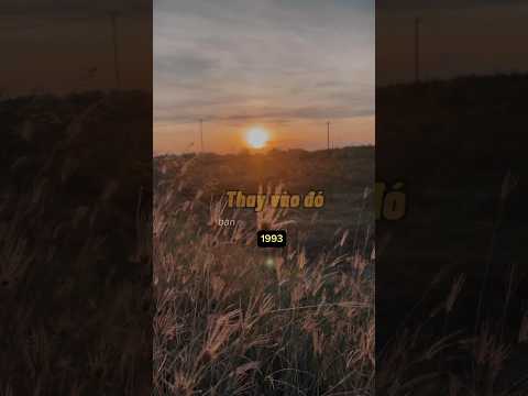 1993 - Tuổi 30 Bước Đi Nào Cho Vững