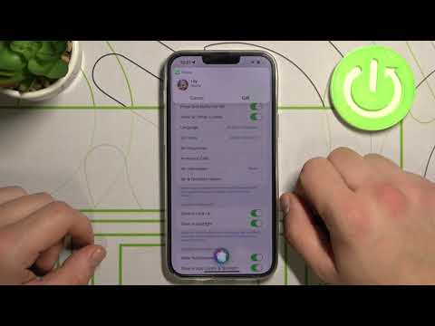 How to Make Phone Call via Siri on iPhone 13 Pro Max – Adjust Siri Settings