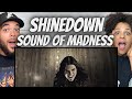 THIS WAS EPIC FIRST TIME HEARING Shinedown Sound Of Madness REACTION