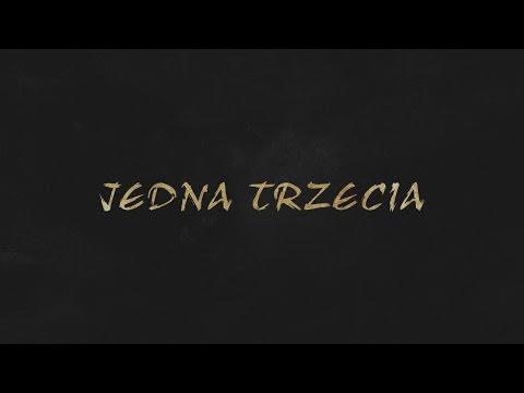 STECIU - JEDNA TRZECIA //AUDIO