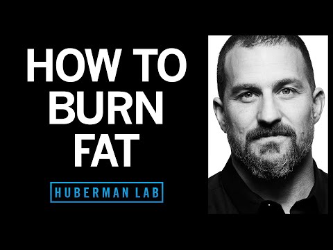 The Science of Fat Loss: Tools for Accelerated Results