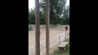 Reba and I at a forward trot