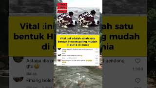 Download lagu Dia lupa akan bodinya #trending #foryou #kucing #kucinglucu #funny #viralshorts #masukberanda mp3