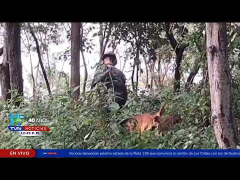 Hallan En El Cuerpo En Tierro En Bagaces Guanacaste 