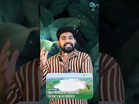 “Exploring Bayin Chagan Lake — Where Water Looks like Milk!”