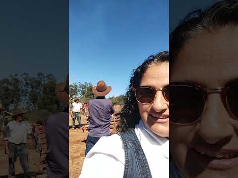 Fortaleza de Minas, festa de carros de boi