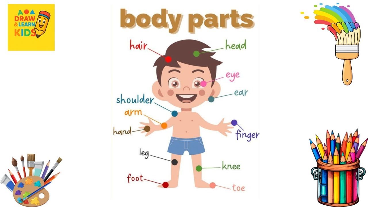 Learn Body Parts for Kids 👦👧 | Drawing & Coloring with Rhymes | Doodle World Kids