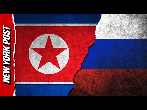 North Koreans in Russia Subjected to Horrific, Slave-like Conditions: Shock Report