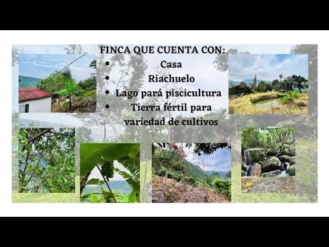 Lote Rural en pandi Cundinamarca