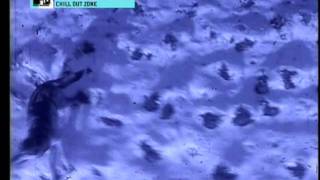 alec empire - low on ice