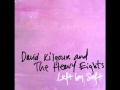 David Kilgour & The Heavy Eights - Autumn Sun