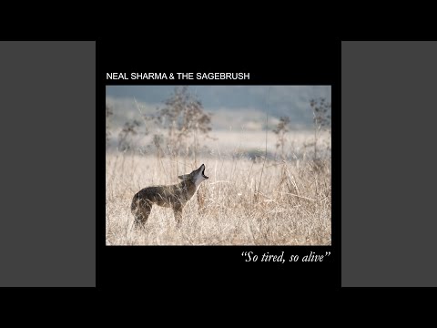 Beyond the Pass (2025 Remaster)