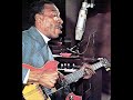 T-Bone Walker : I Got A Break Baby (1967)