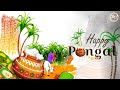 Pongal Whatsapp Status Tamil|Happy Pongal 2023 WhatsApp status tamil| தைப்பொங்கல்