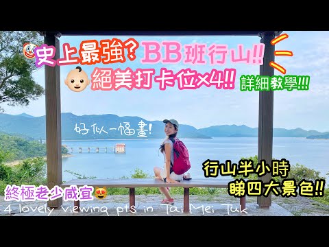 【香港行山好去處】連BB仔都行到⁉️ CP值極高！四個絕美打卡位😻😻～40分鐘搞掂！輕鬆睇靚景 【Lovely viewing points x4 at Tai Mei Tuk Trail】