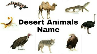 Desert Animals Name Learn Desert Animals Name With Pictures in English