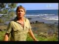 Crocodile Hunter Tiger Sharks Part 1 5