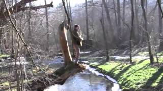 Video Na cestě (2011)