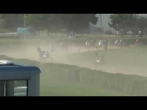 Trka "Mlava" 07.07.2021 Dasty S.G. - Saša Grujić