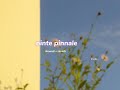 Ninte Pinnale S L O W E D R E V E R B Lilvibe