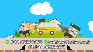 【紹介動画】GOGO動物クリニック｜往診専門動物病院（公式）