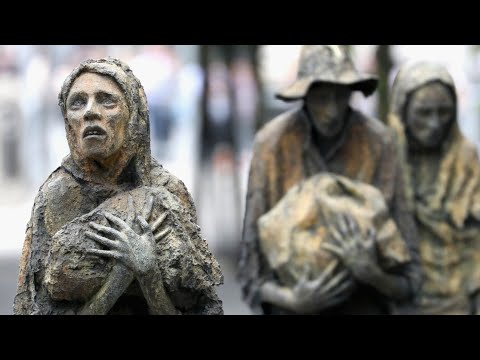 This Is How Scientists Solved The Mystery Of The Irish Famine
