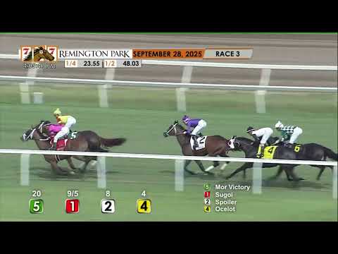 Gigante Rallies to Win Remington Green with Jose Ortiz Up