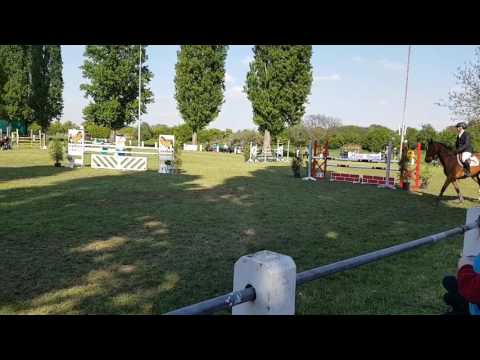 Cora Spöck 2017 Springpferde L