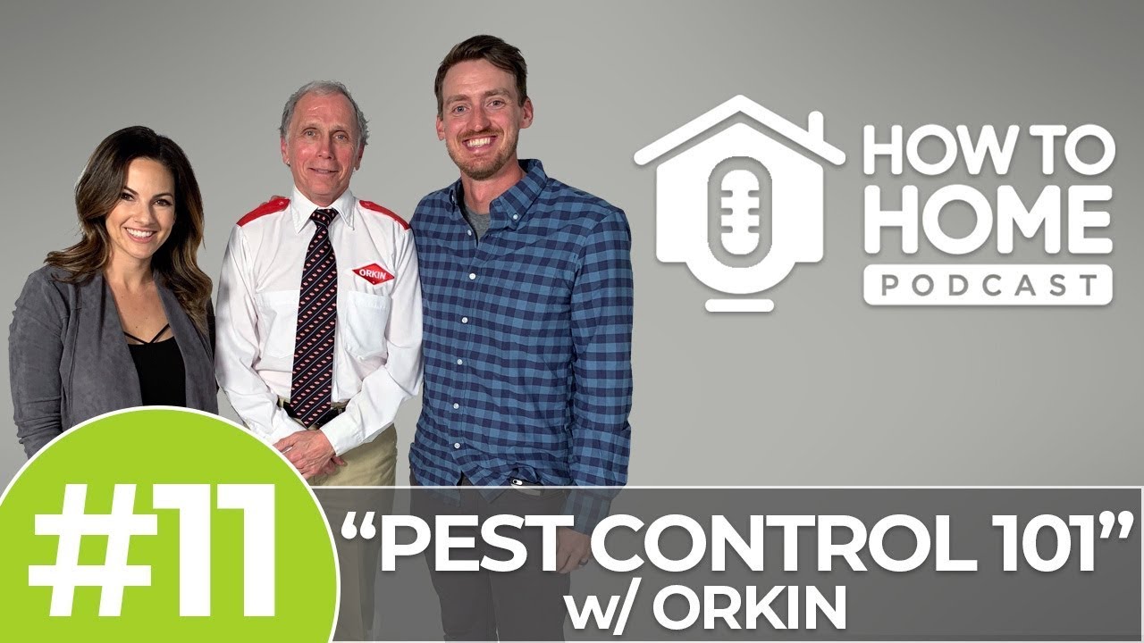 Pest Control 101: How to Protect Your Home Against Pests  | How To Home Podcast