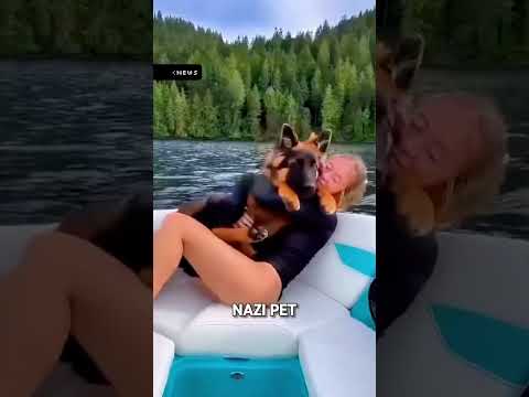 Sydney Sweeney's Dog Called "Nazi Pet" After American Eagle Ad Backlash