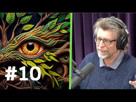 #10 | De vloeibare religiositeit van ayahuasca | André van der Braak (English subtitles)