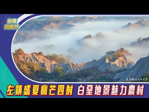 台南向前行 第50集-左鎮盛夏瘋芒四射 白堊地景魅力農村