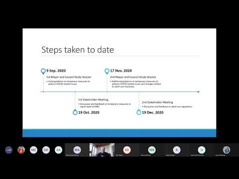 Adult Use Marijuana Public Meeting - January 11, 2021