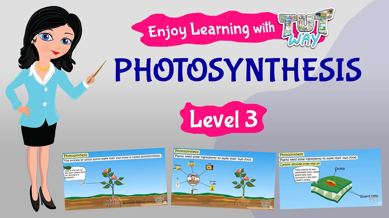 Photosynthesis For Kids | Science | Grade 3 & 4 | Tutway