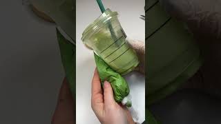 Bei Matcha scheiden sich ja die Geister: Mögt ihr es Krümel?