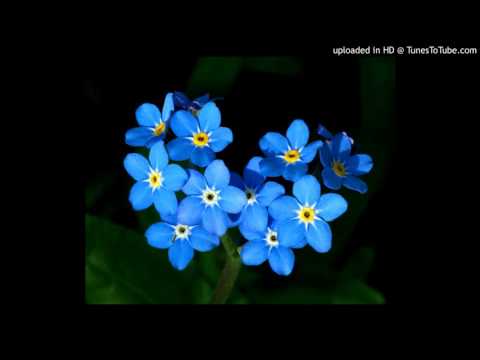 Today's Tango Is... No Me Olvides - Juan Canaro 10-02-1932