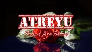 Atreyu - Tulips Are Better (Sub. Español)