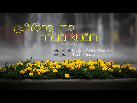 Mộng mơ mùa xuân - Tuấn Ngọc