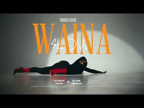 Nyasha David & Elcee Gweja - Waina Slow (Official Music Video)