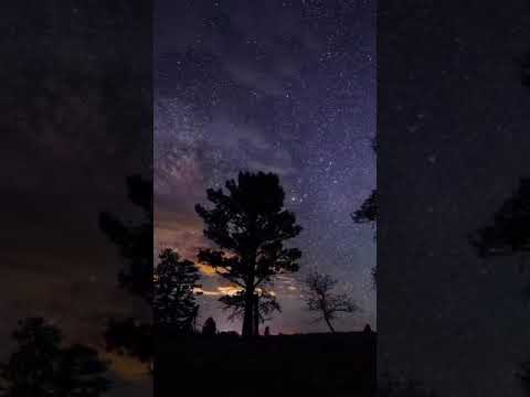 Status Video|Status New|Whatsapp Status|Josh|Moj|Sharechat|MX Taka Tak