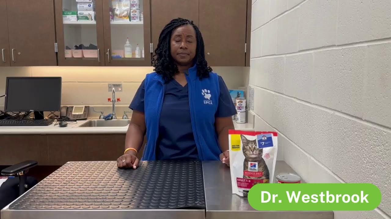 Pet Pawcast: Cat vaccinations