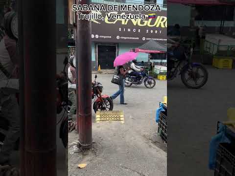 🇻🇪 People of SABANA DE MENDOZA, Trujillo, VENEZUELA #virtualtour #fyp #pov #venezuela #trujillo