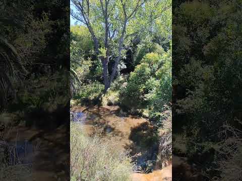 Montevideo Natural Melilla #naturaleza #uruguaynatural #nature #turismouruguay #automobile