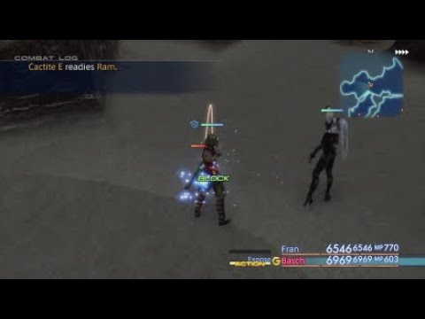 Final Fantasy XII TZA 1.5 million damage build