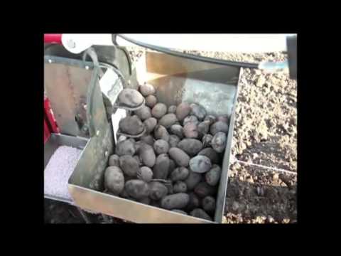 Миниатюра изображения товара Мотоблок бензиновый Weima WM 1050 (двигатель Weima 168FB)