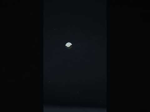 YouTube 썸네일