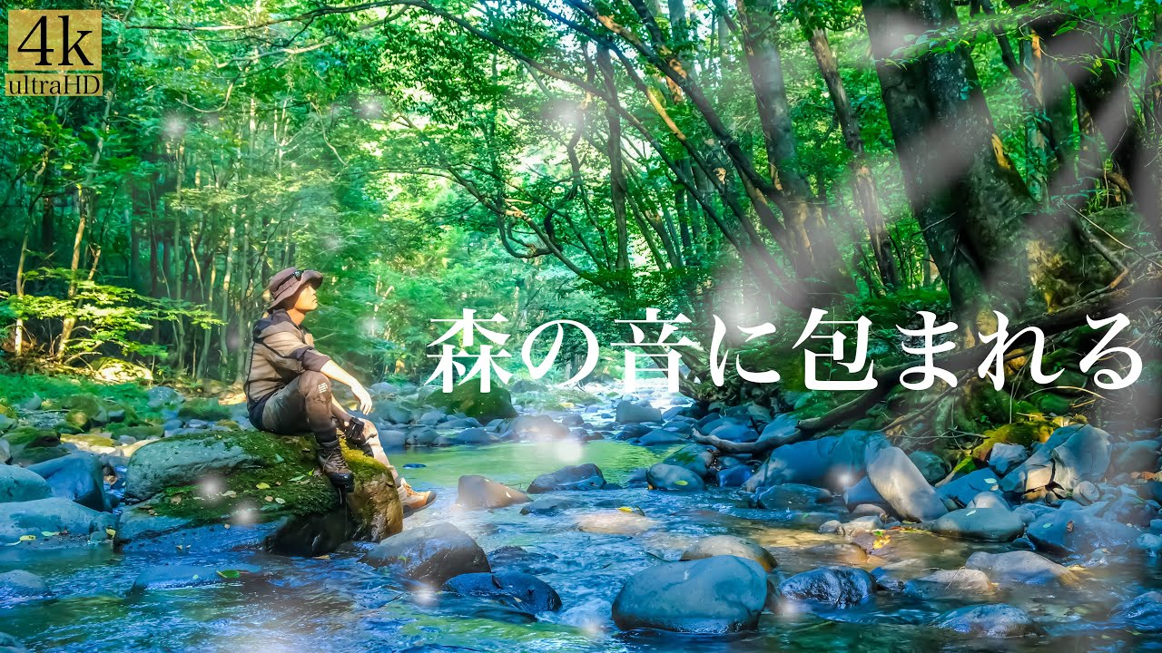 誰もいない山奥で、肉と卵を焼くだけの贅沢キャンプ飯/自然音/ASMR