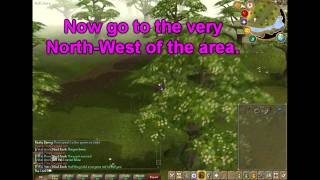 RuneScape - Easter Event 2011 Guide (Holly and Hawthorn)