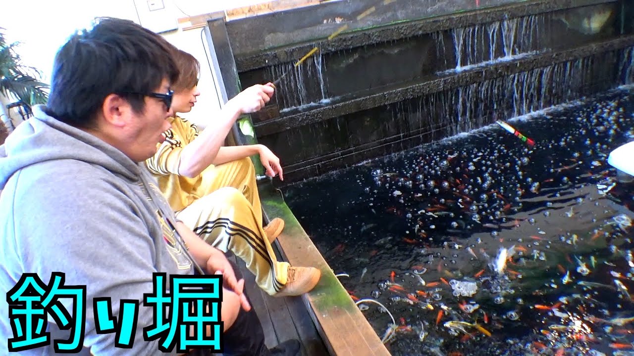 釣り堀で珍しいドイツ鯉を狙ってみた【釣り／熱帯魚／ドイツ鯉】inアミパ佐野