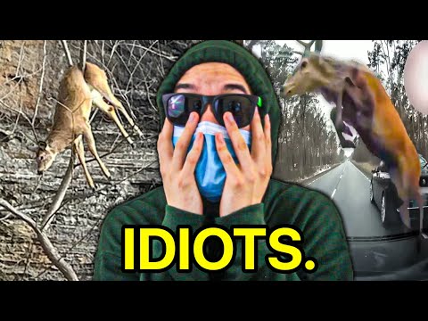 Deer are F*cking Stupid